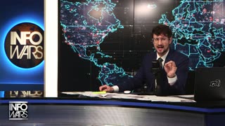 Infowars Network Feed: LIVE 247