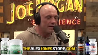 Infowars Network Feed: LIVE 247