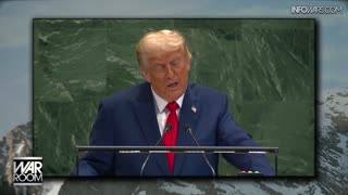 Infowars Network Feed: LIVE 247