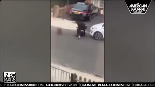 Infowars Network Feed: LIVE 247