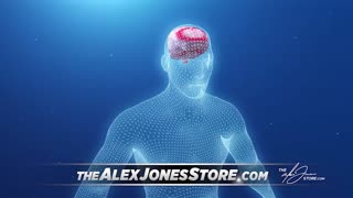 Infowars Network Feed: LIVE 247