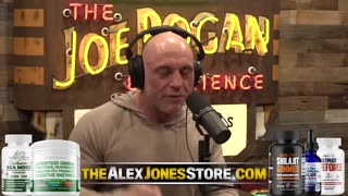 Infowars Network Feed: LIVE 247