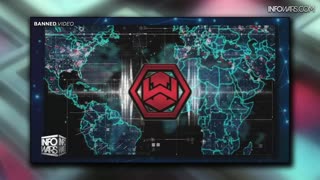 Infowars Network Feed: LIVE 247