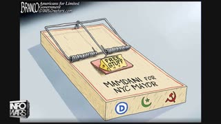 Infowars Network Feed: LIVE 247