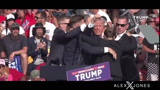 Infowars Network Feed: LIVE 247