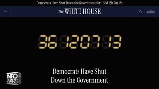 Infowars Network Feed: LIVE 247