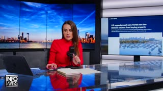 Infowars Network Feed: LIVE 247