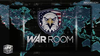 Infowars Network Feed: LIVE 247