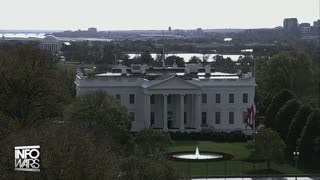 Infowars Network Feed: LIVE 247