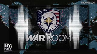 Infowars Network Feed: LIVE 247