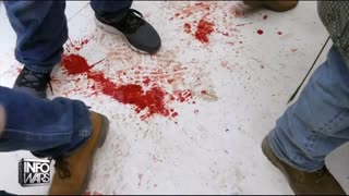 Infowars Network Feed: LIVE 247