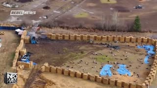 Infowars Network Feed: LIVE 247