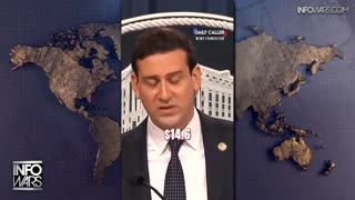 Infowars Network Feed: LIVE 247