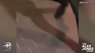 Infowars Network Feed: LIVE 247