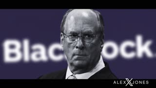 Infowars Network Feed: LIVE 247