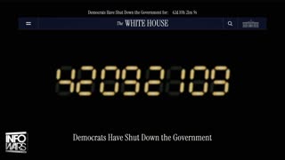 Infowars Network Feed: LIVE 247