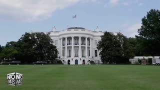 Infowars Network Feed: LIVE 247