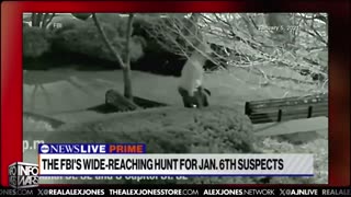 Infowars Network Feed: LIVE 247