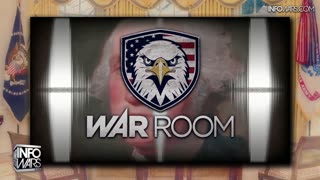 Infowars Network Feed: LIVE 247