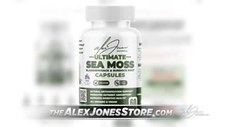 Infowars Network Feed: LIVE 247