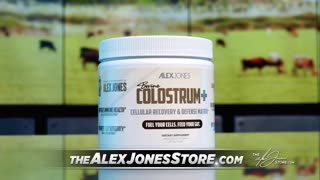 Infowars Network Feed: LIVE 247