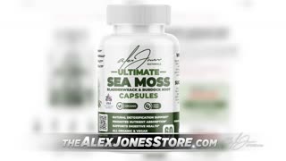 Infowars Network Feed: LIVE 247