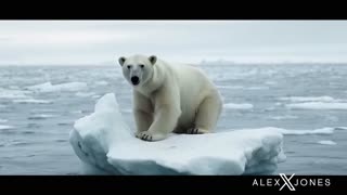 Infowars Network Feed: LIVE 247