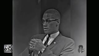 Infowars Network Feed: LIVE 247