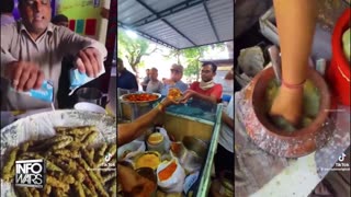 Infowars Network Feed: LIVE 247