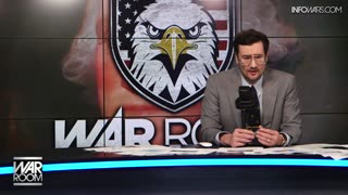 Infowars Network Feed: LIVE 247