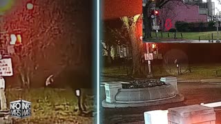 Infowars Network Feed: LIVE 247