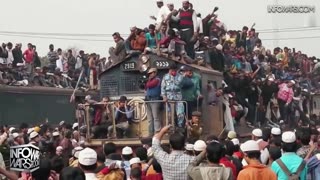 Infowars Network Feed: LIVE 247