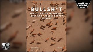 Infowars Network Feed: LIVE 247