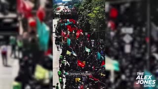 Infowars Network Feed: LIVE 247