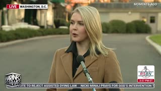 Infowars Network Feed: LIVE 247