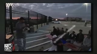 Infowars Network Feed: LIVE 247