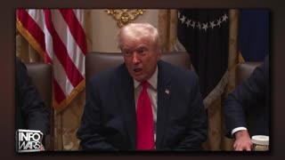 Infowars Network Feed: LIVE 247