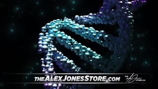 Infowars Network Feed: LIVE 247