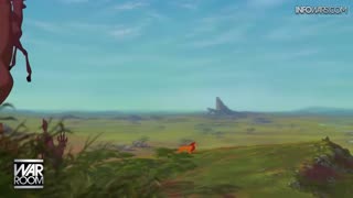 Infowars Network Feed: LIVE 247