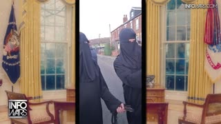 Infowars Network Feed: LIVE 247