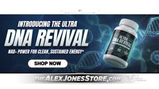 Infowars Network Feed: LIVE 247