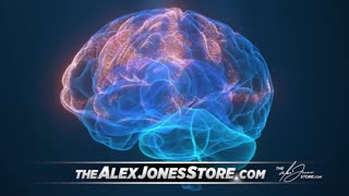 Infowars Network Feed: LIVE 247