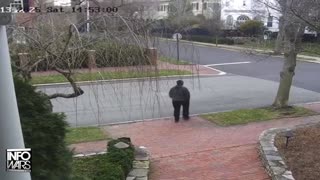 Infowars Network Feed: LIVE 247