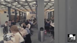 Infowars Network Feed: LIVE 247