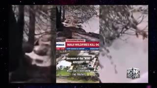 Infowars Network Feed: LIVE 247