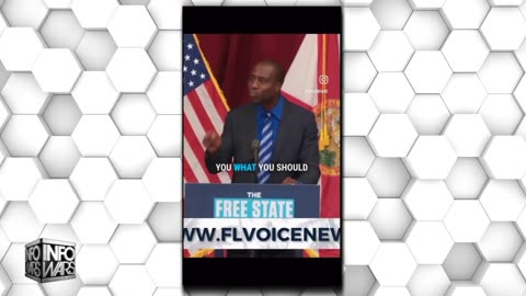 Infowars Network Feed: LIVE 247