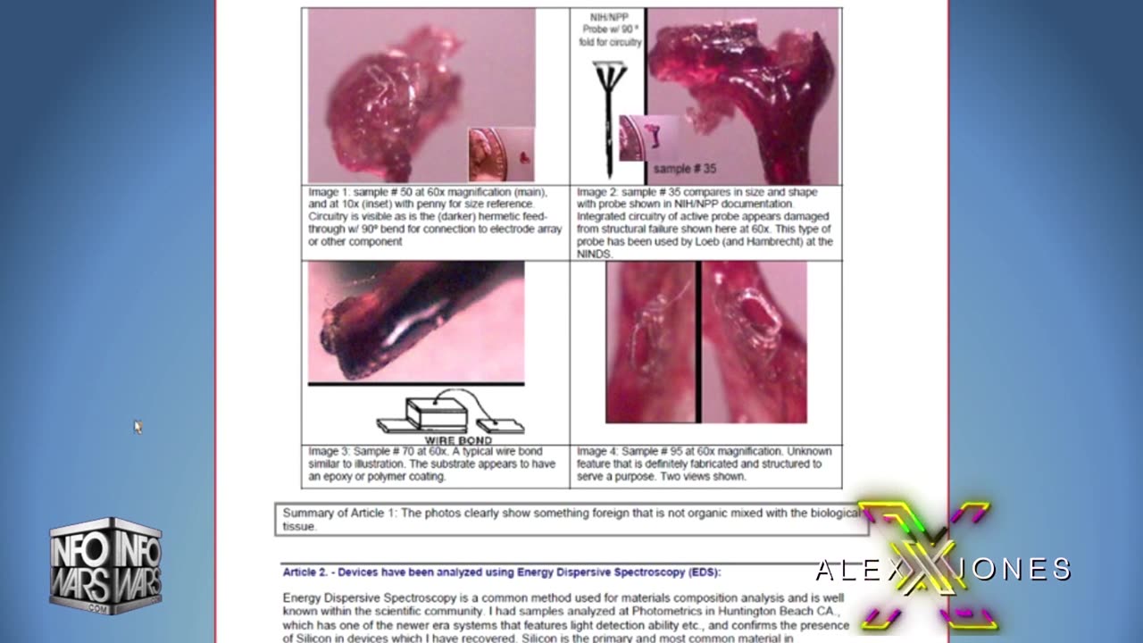 Infowars Network Feed: LIVE 247