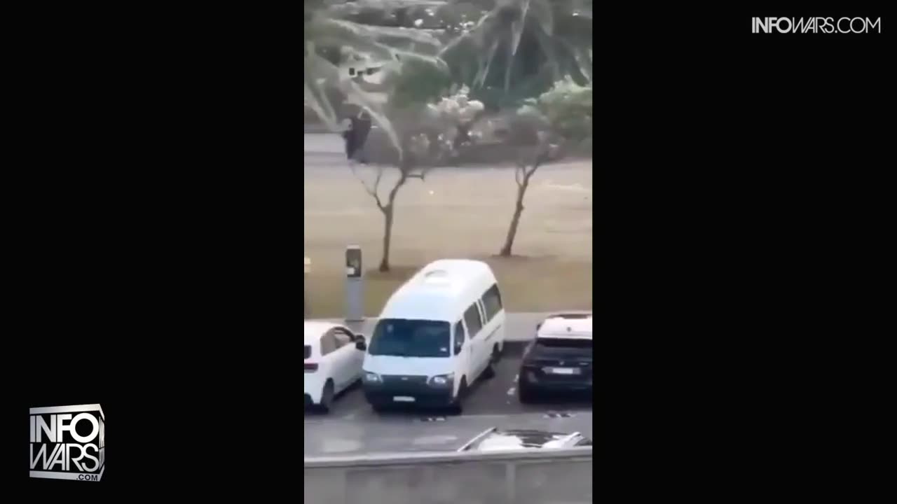 Infowars Network Feed: LIVE 247