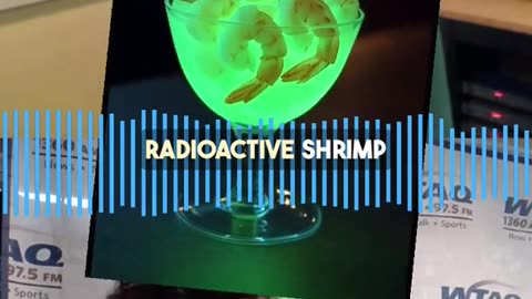 Radioactive Shrimp from Walmart Song