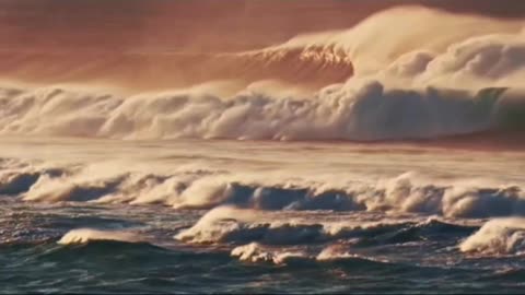 Courage, Purpose, and Gratitude